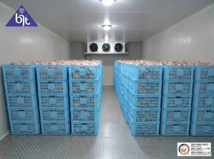 Pengertian, Jenis, Suhu Ideal, dan Cara Memilih Cold Storage Terbaik untuk Bisnis
